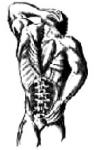 Chiropractic Spine & Sports