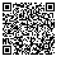 CV QR Code linking to https://www.uschirodirectory.com/directory/ga/brant-chiropractic-clinic-macon-ga-2434/cv