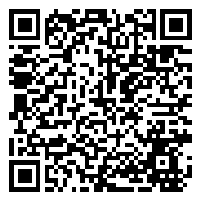 CV QR Code linking to https://www.uschirodirectory.com/directory/ny/port-center-for-vitality-port-washington-ny-2655/cv