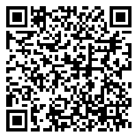CV QR Code linking to https://www.uschirodirectory.com/directory/mi/preimer-chiropractic-clinic-ann-arbor-mi-5471/cv