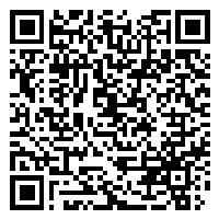CV QR Code linking to https://www.uschirodirectory.com/directory/ny/amdur-chiropractic-pc-babylon-ny-2312/cv