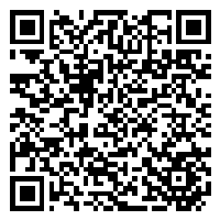 CV QR Code linking to https://www.uschirodirectory.com/directory/ny/dyker-heights-family-chiropractic-brooklyn-ny-2352/cv