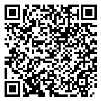 CV QR Code linking to https://www.uschirodirectory.com/directory/md/lewis-chiropractic-center-fallston-md-3146/cv