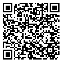 CV QR Code linking to https://www.uschirodirectory.com/directory/nj/north-jersey-whole-health-center-llc-englewood-nj-3322/cv