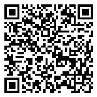 Listing QR Code linking to https://www.uschirodirectory.com/directory/ny/park-avenue-chiropractic-bethpage-ny-2053