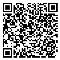 CV QR Code linking to https://www.uschirodirectory.com/directory/wa/blue-spring-chiropractic-bellevue-wa-5343/cv