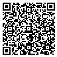 CV QR Code linking to https://www.uschirodirectory.com/directory/wa/mittelstaedt-chiropractic-and-massage-port-angeles-wa-4383/cv