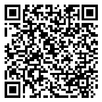 CV QR Code linking to https://www.uschirodirectory.com/directory/mn/marty-chiropractic-burnsville-mn-4136/cv