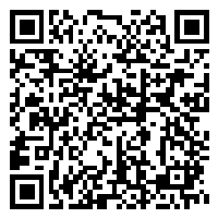 CV QR Code linking to https://www.uschirodirectory.com/directory/ny/borough-hall-chiropractic-pc-brooklyn-ny-4132/cv