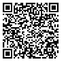 Listing QR Code linking to https://www.uschirodirectory.com/directory/ny/borough-hall-chiropractic-pc-brooklyn-ny-4132