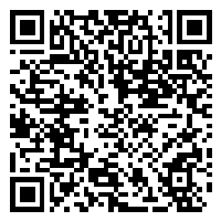 CV QR Code linking to https://www.uschirodirectory.com/directory/pa/wellness-pittsburgh-pittsburgh-pa-4060/cv
