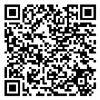 CV QR Code linking to https://www.uschirodirectory.com/directory/mi/silbert-chiropractic-clinic-pc-southgate-mi-3054/cv