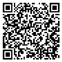 CV QR Code linking to https://www.uschirodirectory.com/directory/il/back-to-health-of-b-n-inc-normal-il-2048/cv