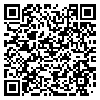 Listing QR Code linking to https://www.uschirodirectory.com/directory/il/back-to-health-of-b-n-inc-normal-il-2048