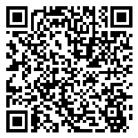 CV QR Code linking to https://www.uschirodirectory.com/directory/mi/palmer-chiropractic-muskegon-mi-2506/cv