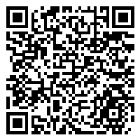 CV QR Code linking to https://www.uschirodirectory.com/directory/il/palatine-family-chiropractic-palatine-il-4180/cv