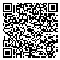 CV QR Code linking to https://www.uschirodirectory.com/directory/ny/north-endicott-chiropractic-endicott-ny-3024/cv