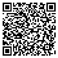 CV QR Code linking to https://www.uschirodirectory.com/directory/ny/fresh-meadows-chiropractic-pc-fresh-meadows-ny-2309/cv