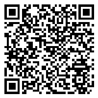 CV QR Code linking to https://www.uschirodirectory.com/directory/va/little-river-chiropractic-clinic-springfield-va-3608/cv