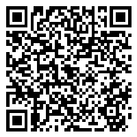 CV QR Code linking to https://www.uschirodirectory.com/directory/ny/elmwood-chiropractic-kenmore-ny-2204/cv