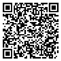 CV QR Code linking to https://www.uschirodirectory.com/directory/nh/burpee-family-chiropractic-concord-nh-2879/cv