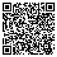 CV QR Code linking to https://www.uschirodirectory.com/directory/md/mark-peller-dc-llc-rockville-md-1667/cv