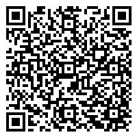 CV QR Code linking to https://www.uschirodirectory.com/directory/nj/the-wellness-center-a-chiropractic-place-llc-vineland-nj-1950/cv