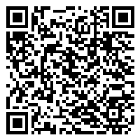 CV QR Code linking to https://www.uschirodirectory.com/directory/ny/chiropractic-lifestyle-family-practic-p-c-snyder-ny-2156/cv