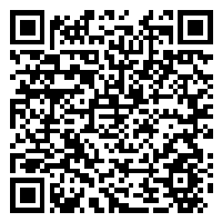 CV QR Code linking to https://www.uschirodirectory.com/directory/wi/wellness-way-chiropractic-milwaukee-wi-1641/cv