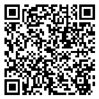CV QR Code linking to https://www.uschirodirectory.com/directory/ny/tepper-chiropractic-westbury-ny-2285/cv
