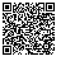 CV QR Code linking to https://www.uschirodirectory.com/directory/mn/levin-and-chellen-chiropractic-minnetonka-mn-2854/cv