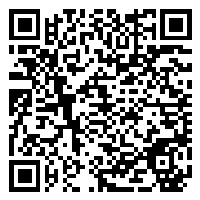 CV QR Code linking to https://www.uschirodirectory.com/directory/ca/desalvo-chiropractic-injury-center-novato-ca-6452/cv