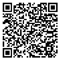 CV QR Code linking to https://www.uschirodirectory.com/directory/il/leon-r-wleklinski-dc-faco-ccsp-park-ridge-il-3758/cv