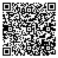 CV QR Code linking to https://www.uschirodirectory.com/directory/il/palos-chiropractic-and-holistic-health-palos-hills-il-2349/cv
