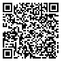 CV QR Code linking to https://www.uschirodirectory.com/directory/ny/nektalov-family-chiropractic-pt-queens-ny-4647/cv