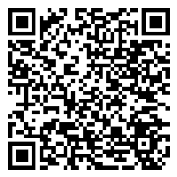 CV QR Code linking to https://www.uschirodirectory.com/directory/ny/mandarino-chiropractic-westbury-westbury-ny-3577/cv